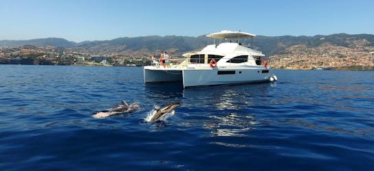 Dolfijnen en walvissen spotten in Funchal met all-inclusive luxe catamaran